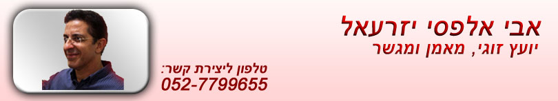 אבי אלפסי יזראעל